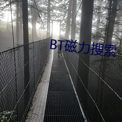 BT磁力搜索