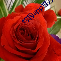 约(約)聊(聊)app官方下载安卓系统(統)