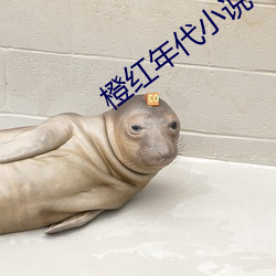 橙红年代小说