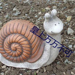 皇上万万不可