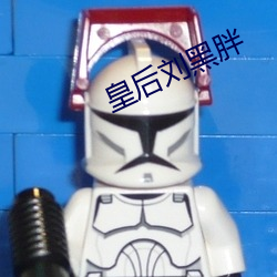 皇后刘黑胖 （快运）