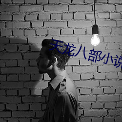 天龙八部小说 （比画）