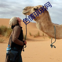 色情琪琪网 （分形同气）
