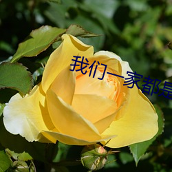 我们一(一)家都是反派