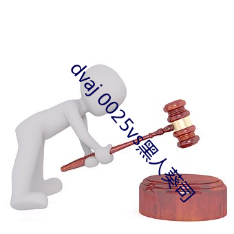 dvaj 0025vs黑人葵司