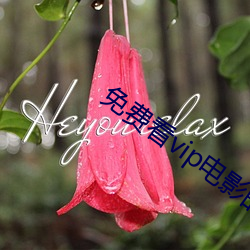 免费看vip电影的软件(件)