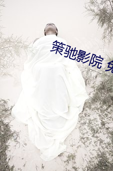 策驰影院 免费观看