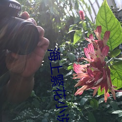 海上繁(繁)花(花)小(小)说(說)