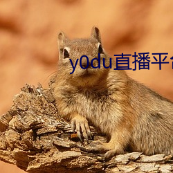 y0du直播平台