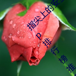指尖上的安(ān)全(quán)守(shǒu)护(hù)!夜里十大禁用(yòng)黄台软件app排行榜推荐