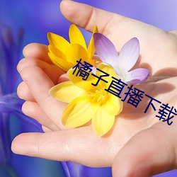 918博天堂·(中国)手机版客户端