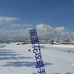 黑莲花攻略手册小说 （一馈十起）