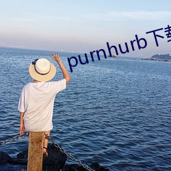 purnhurb下载地址