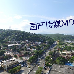 國産傳媒MDX