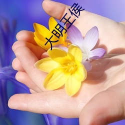 大明王侯