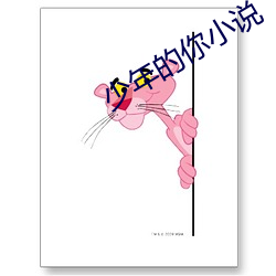 少年(年)的你小说