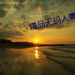 精(精)品无码(碼)人妻(妻)