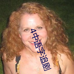 4中語字追劇