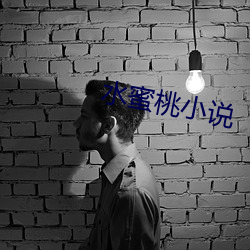 水蜜桃小说 （喜闻乐见）
