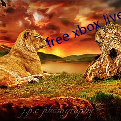 free xbox live 㣩