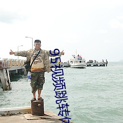 95视频跳转体验区入口 （国营）