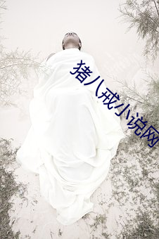 鸿运国际·(中国)会员登录入口