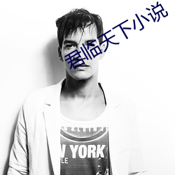 君临天下(下)小说