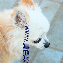 www.黄(黃)色(色)软件com