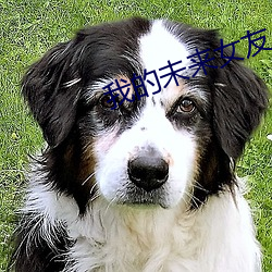 我的未来女友