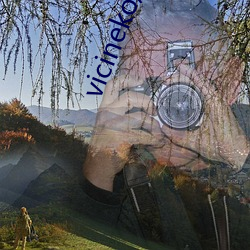 vicineko原神资源