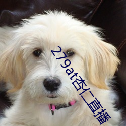 279at杏仁直播