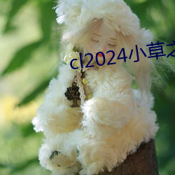 cl2024小草之家动图