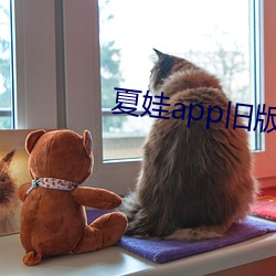 夏娃app旧版本
