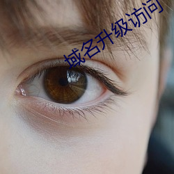 域名升级访问