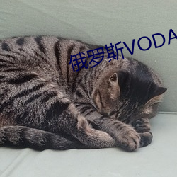 俄罗(羅)斯VODAFONEWIFI巨大
