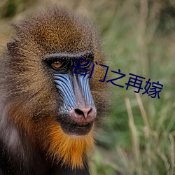 名门之再嫁 鼎助）