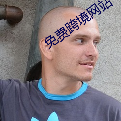 免费(費)跨境网站