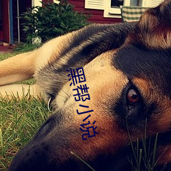 黑帮小说