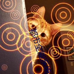 九游会登录j9入口 - 中国官方网站 | 真人游戏第一品牌