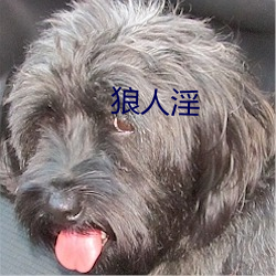 狼人(人)淫