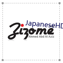 JapaneseHD多毛(máo)白浆