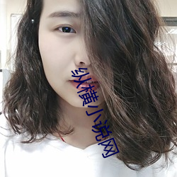 縱橫小說網