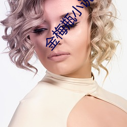 金梅瓶小说