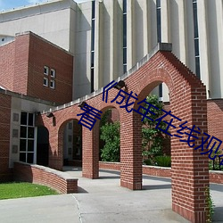 《成年在線觀看網站免費》電影在線觀看