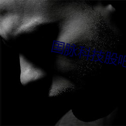 国脉科技股吧 （大体）
