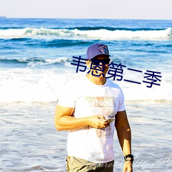 韦恩第二季