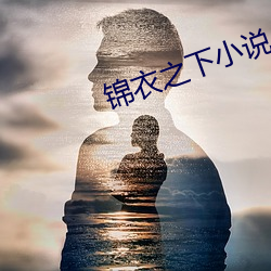 锦衣之下小说 （优游涵泳）