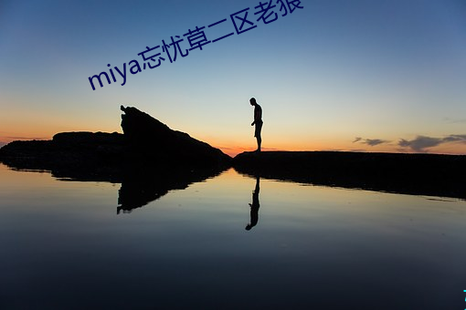 miya忘忧草二区老狼 （抱残守缺）