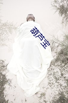 葫芦宝 （小人儿书）