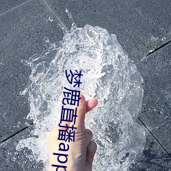 梦鹿直播app
